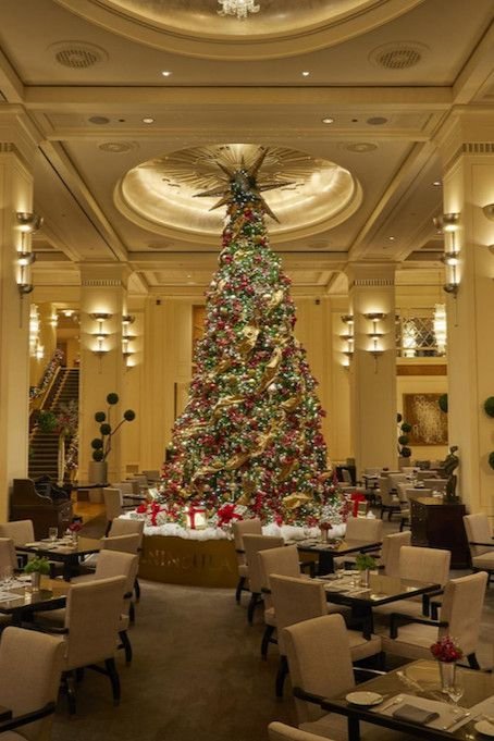 dining experience at four seasons chicago