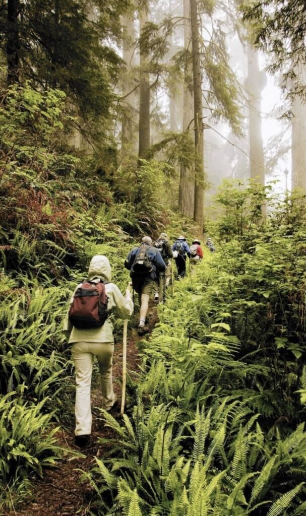 the challenge and triumph building resilience step by step