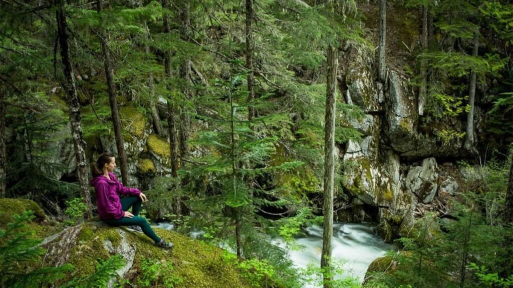 The Sensory Immersion Reconnecting With The Earth 1024x576