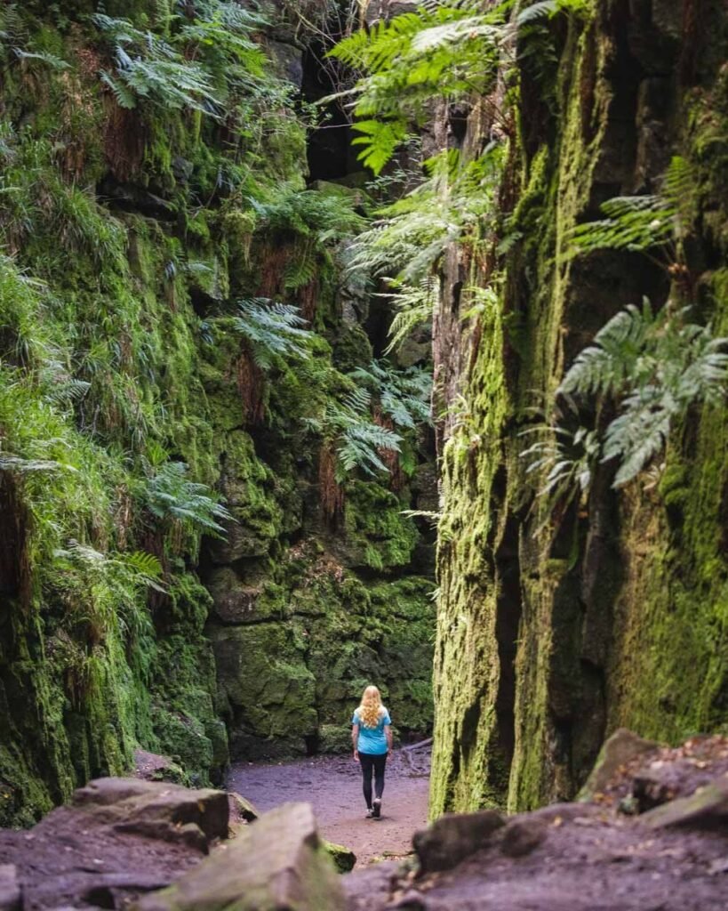 what is a walking holiday